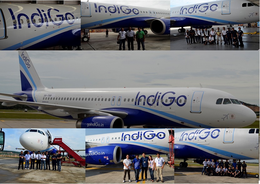 indigo