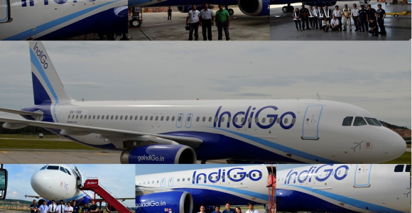 Tiger – Indigo Transition Program For Airbus A320